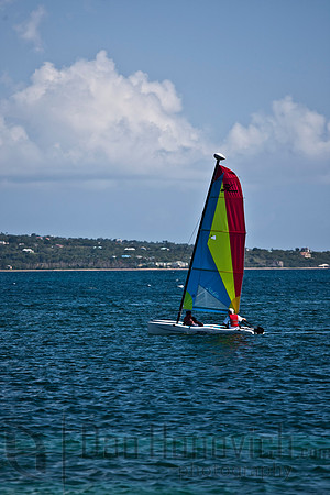 Cockleshell Beach