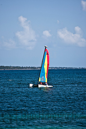 Cockleshell Beach