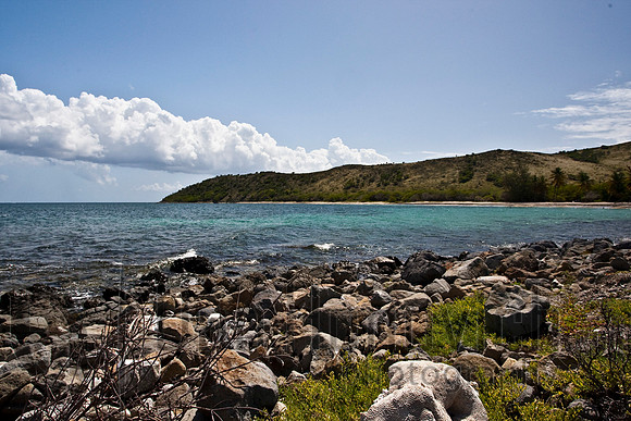 Cockleshell Beach