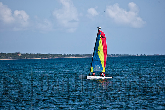 Cockleshell Beach